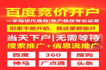 竞价托管实战案例：优化广告投放策略